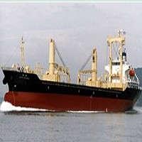 四維航業股份有限公司之船舶，航行亞洲航線載運原木及散雜貨，共八艘。
