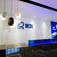 M31 開發驗證完成7奈米ONFI 5.1 I/O IP，布局全球人工智慧大數據存儲市場。（M31/提供）