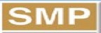 SMP 新普