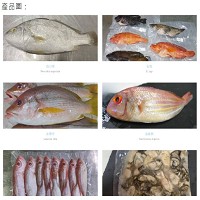 福格創新股份有限公司