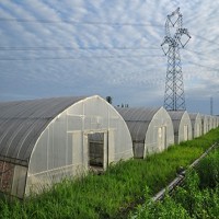 四川成都新津臺灣農民創業園