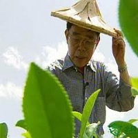 “茶王”李瑞河闡述他的兩岸“茶心”