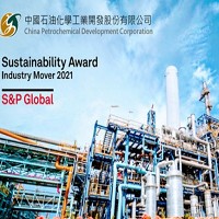 中國石油化學工業開發股份有限公司的故事