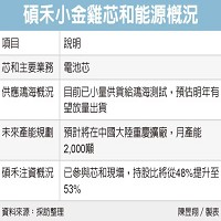 碩禾電子材料股份有限公司 的故事