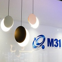 円星科技股份有限公司 (M31)的故事