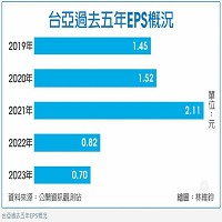 台亞半導體股份有限公司的故事