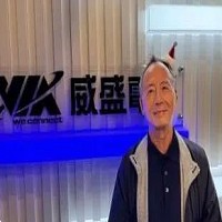 威盛電子股份有限公司的故事