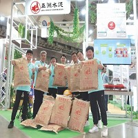 亞洲水泥股份有限公司的故事