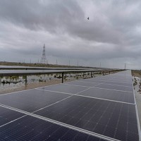 碩禾電子材料股份有限公司 的故事