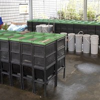 虎躍廠屋頂的綠能改造，特別採用棚架式太陽能系統。圖／鴻海提供