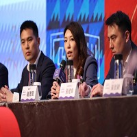 雲豹能源科技股份有限公司的故事