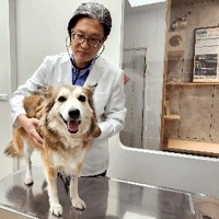 康科特股份有限公司的故事