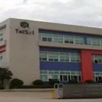 泰碩電子股份有限公司 的故事