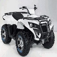 合騏工業股份有限公司之ATV 多功能休閒車 (沙灘車) 照片