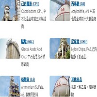中國石油化學工業開發股份有限公司之產品照片