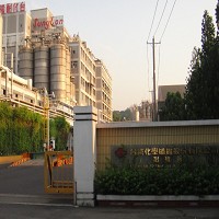 台灣化學纖維股份有限公司的故事