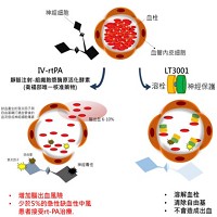 順天醫藥生技股份有限公司之LT3001的原理解剖圖片