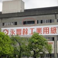 永豐餘 布局全球 不「紙」如此