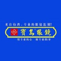 星創視界股份有限公司公司 (寶島眼鏡)的故事