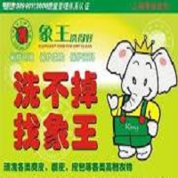 台湾象王洗衣器材有限公司的故事