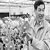 鉅寶花卉實業有限公司的故事